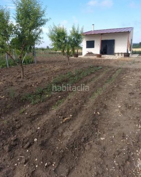 Foto 2799bff4-883a-4d77-8030-978ea5e6e504. Finca rústica a Roa