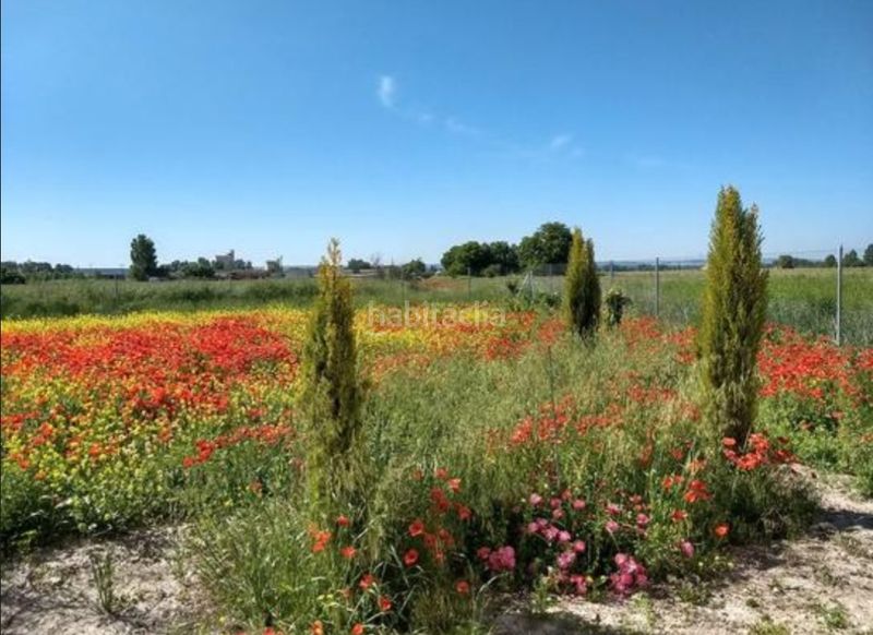 Foto 014cc025-6767-4ecb-840d-8c82fcc8ca09. Finca rústica en Roa
