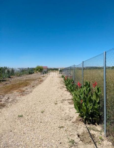 Foto 6b62804a-0954-46e0-8b45-1acbb49d9371. Finca rústica en Roa