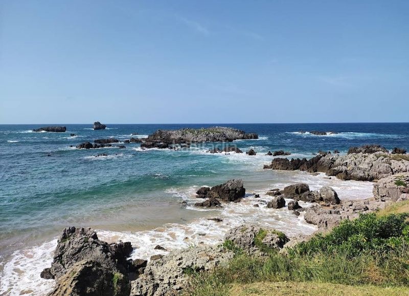 Foto 4538286b-57c7-47ae-8ac4-7eb1400af815. Attique dans Ris Noja