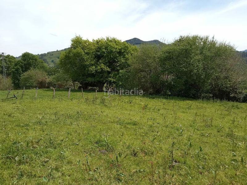 Foto bfc5f873-420d-4091-8895-f9b29641eb38. Haus in Rasines