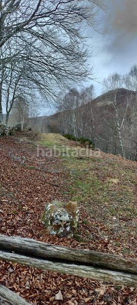 Foto 352ceac2-0b64-4198-8f90-5bc52e22a8dd. Masia a Espinosa de los Monteros