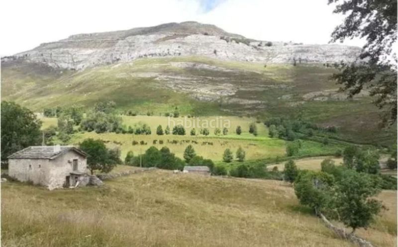 Foto 5e9d6f7f-f4a2-48f1-87cb-0576f19003de. Masia a Espinosa de los Monteros