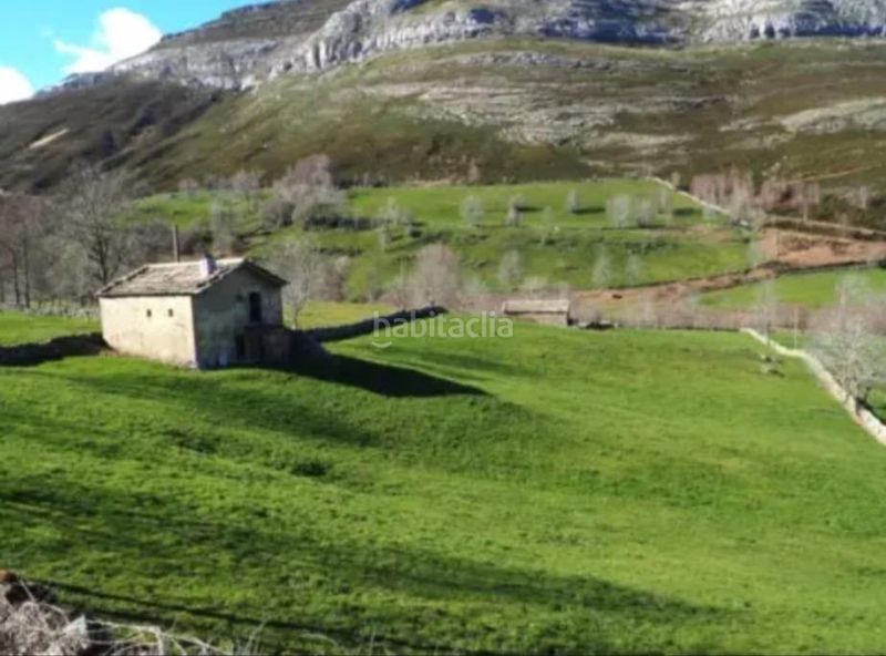 Foto 64216484-6522-4b55-9214-2fdfdc7ce1ed. Masia a Espinosa de los Monteros