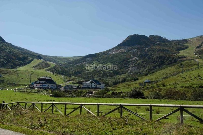 Foto f4725137-3843-4e7c-829c-4bfc2e67b3bb. Estudi a Lena