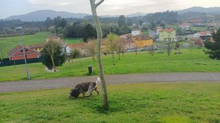 Planta baixa a El Carbayedo - El Quirinal. Acogedora planta baja en avilés con jardín comunitario y comodid