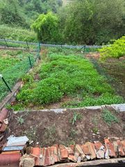 Casa en Zona Rural. Encantadora casa en la zona de  mieres naturaleza y confort por