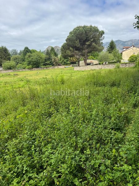 Foto cab94204-0af7-4cb3-8545-4a940766ad07. Terreny residencial a Cangas de Onís