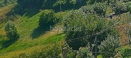 Foto e08b0f7a-0c2d-426c-aa66-1d3eff6a3395. Finca rústica a Quirós