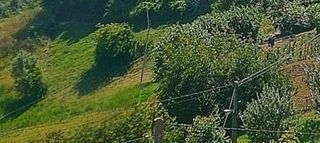 Landgut in Quirós. Huerta en salcedo de quirós con posibilidad de adquirir casa con