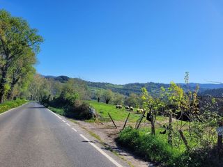 Propriété à Carranza