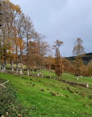 Finca rústica  Espinosa de los monteros