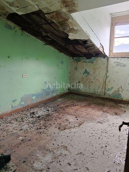 Foto ded8ea98-5942-4e1c-aaf3-4e9b325d3e2a. Pis a Nava