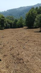 Terreno residenziale in Carranza. Oportunidad de inversión en karrantza harana parcela urbanizable