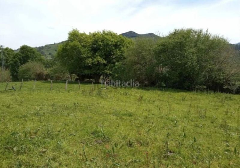 Foto 9170f5b7-79f3-4638-a73c-1c8fa7165385. Finca rústica a barrio cereceda 0 a Rasines