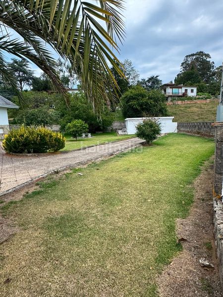 Foto cddae345-8496-4f06-b94c-2ed696a6ab9b. Casa amb calefacció aparcament a Selorio - Tornón Villaviciosa
