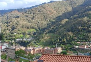Casa en Zona Rural. Tu refugio en el corazón de asturias 2 viviendas independientes,