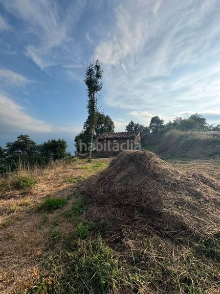 Foto 01a0d786-ce58-46f9-bce9-21c7e9d5816c. Masia a Quirós