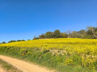Fondo rustico in Valdorros