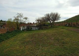 Fondo rustico in San Pedro y San Felices
