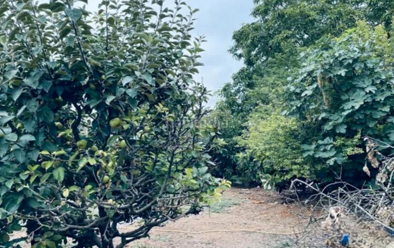 Foto c026f79b-6a54-4c67-a641-c07d24906d6f. Casale in Crucero - Aquende Miranda de Ebro