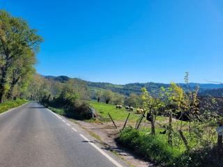 Propriété à Carranza