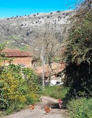 Maison en Vibaa-Ardisana-Caldueo