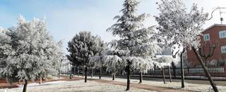 Pis a Villagonzalo Pedernales