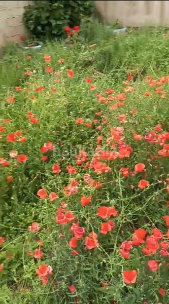 Foto d88e6ae1-af39-44b7-a305-943bd0f3ae67. Masia a Melgar de Fernamental