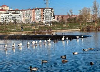 Appartement à Gamonal - San Bruno - G9