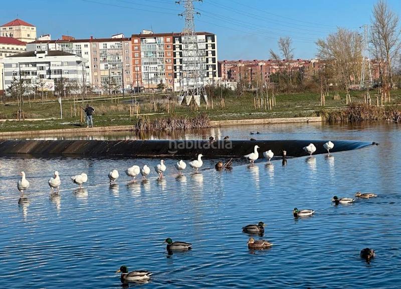 Foto fa50483a-f78d-446f-bad5-fd3f0348aecb. Appartement dans Gamonal - San Bruno - G9 Burgos