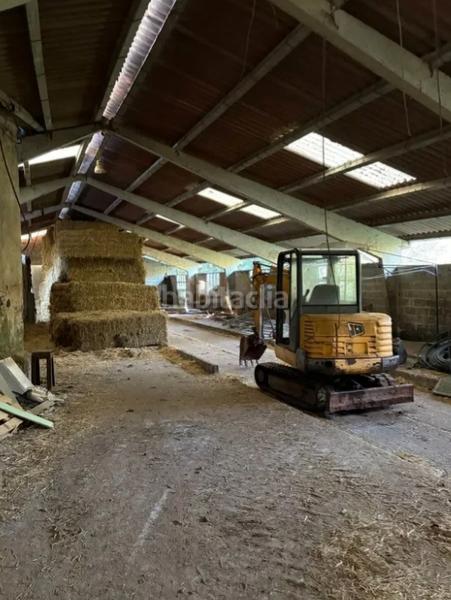 Foto 5f516aeb-3c87-478b-94bc-c1a4aa62e77a. Mas dans Colunga