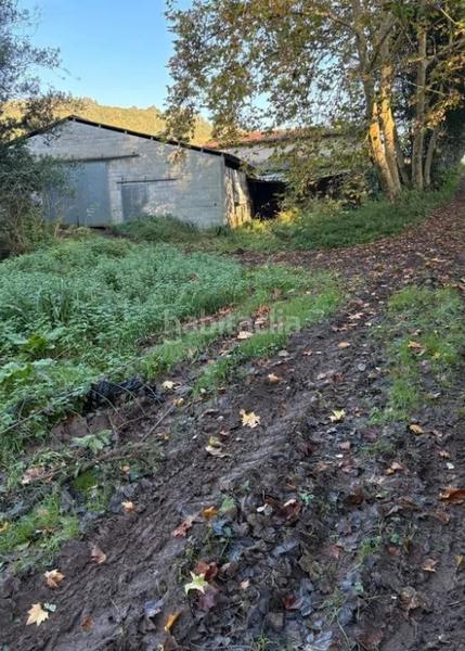 Foto b1d507e0-7e4a-469c-8d48-f45f6566a253. Mas dans Colunga