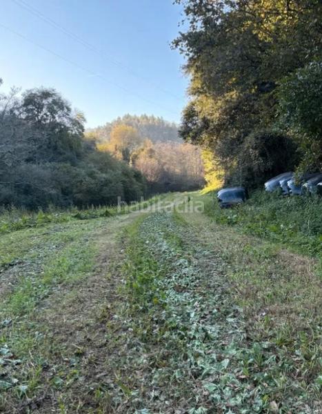 Foto ce61e8b8-aea3-40af-8bd0-4ae551711b74. Mas dans Colunga