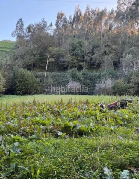 Foto e42145b1-1ef3-4a58-846d-d3c4fc67f80a. Mas dans Colunga