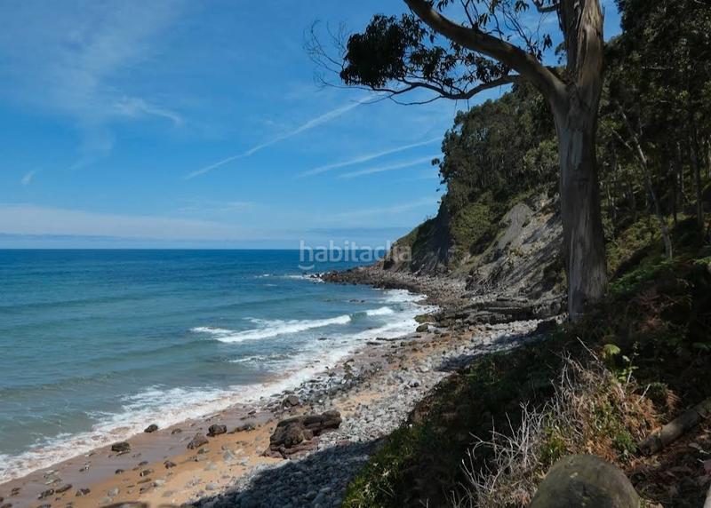 Foto ef8b9042-1074-4013-9b9a-4e49b914667a. Mas dans Colunga