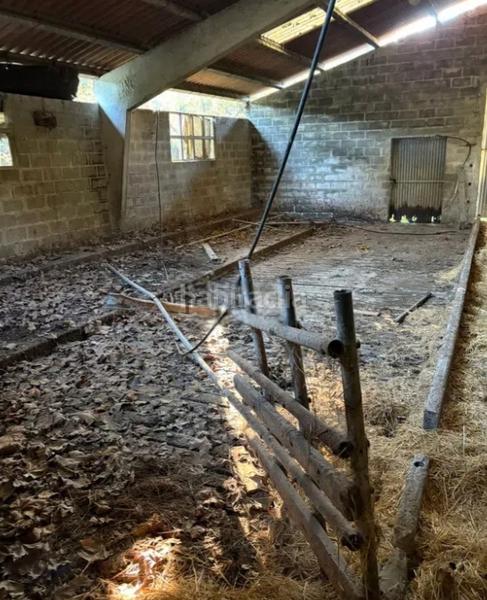 Foto faf09825-b505-49c0-8d06-7cd89ffbf4b7. Mas dans Colunga