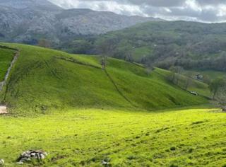 Bauernhof in Arredondo