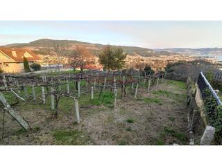 Rural plot in lugar Marrúa