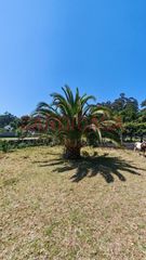 Residential Plot  Os bravos