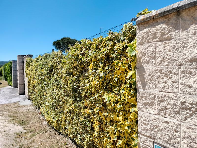 Foto 1e0111c0-ea66-4eaa-b36f-565b7870cb8d. Chalet with heating parking pool in Traspinedo