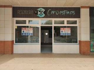 Local Comercial a Plaza españa 9