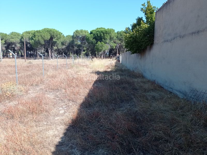 Foto b2b5eaf9-7487-44c0-8397-31aebe215aa3. Solar industrial a calle cañada de la nava 10 a Laguna de Duero