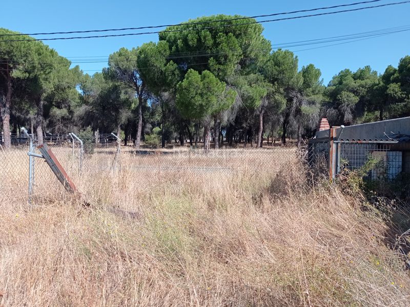 Foto b6ac2463-ed44-4c06-ba15-7065c4b5679d. Solar industrial a calle cañada de la nava 10 a Laguna de Duero