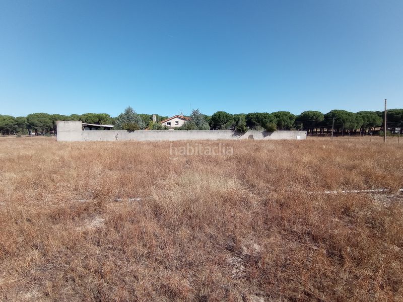Foto bd585a20-5557-454c-b3e0-1736e16a655f. Solar industrial a calle cañada de la nava 10 a Laguna de Duero