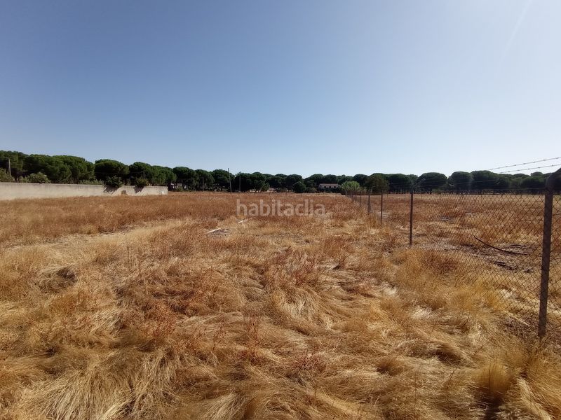 Foto ca6eb33d-b42f-4903-add6-c603fba2ed4d. Solar industrial a calle cañada de la nava 10 a Laguna de Duero