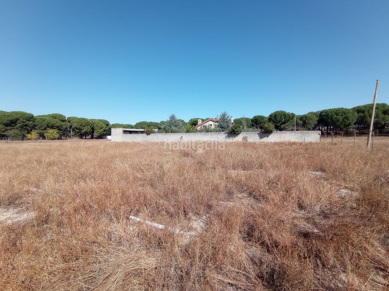 Foto e872ecdf-d9f2-4b64-b5f2-73758beda158. Solar industrial a calle cañada de la nava 10 a Laguna de Duero