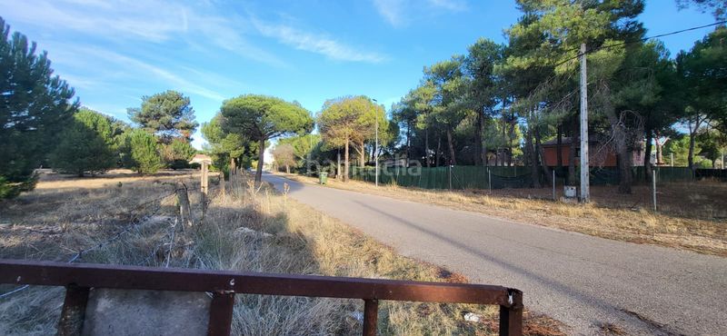 Foto 04e1b3b6-0b67-4680-bf62-cbf97bc517e0. Terreno residenziale in calle santinos 8 in Tudela de Duero