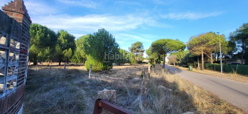 Foto 39fe9427-ec8d-43d3-9f85-9b021c752330. Terreno residenziale in calle santinos 8 in Tudela de Duero