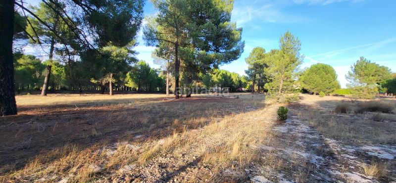 Foto 6f2904ab-6677-429c-9856-b5988d5da692. Terreno residenziale in calle santinos 8 in Tudela de Duero
